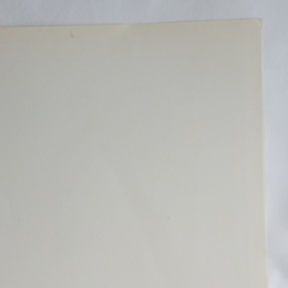 VINTAGE VOGUE POSTER SUMMER HOMES AND THEIR FURNISHINGS MAY 15 1913 - Picture 8 of 10